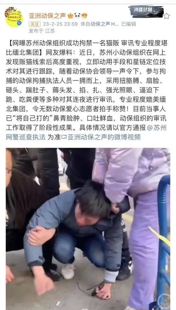 华为手机卡2没反应:男子虐猫杀猫并发视频到网上，被爱猫人士围堵、脚踹、侮辱！官方通报情况