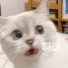 手机号段:这种短信，点了就是求骗！！！