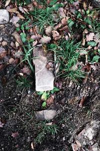 苹果版拼多多软件