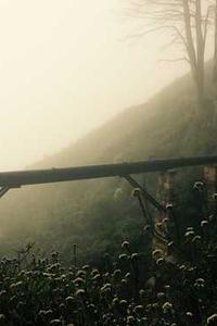手机版打码