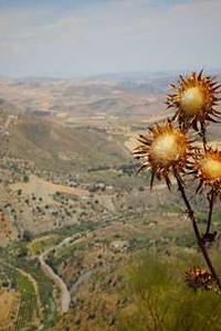 苹果版刷票神器手机版免费