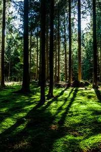 下载涂鸦壁纸苹果版软件