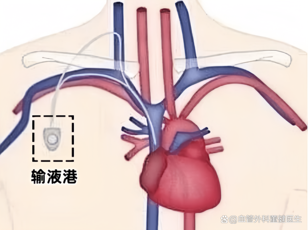 dsa下载安卓版善领dsa大屏安卓版
