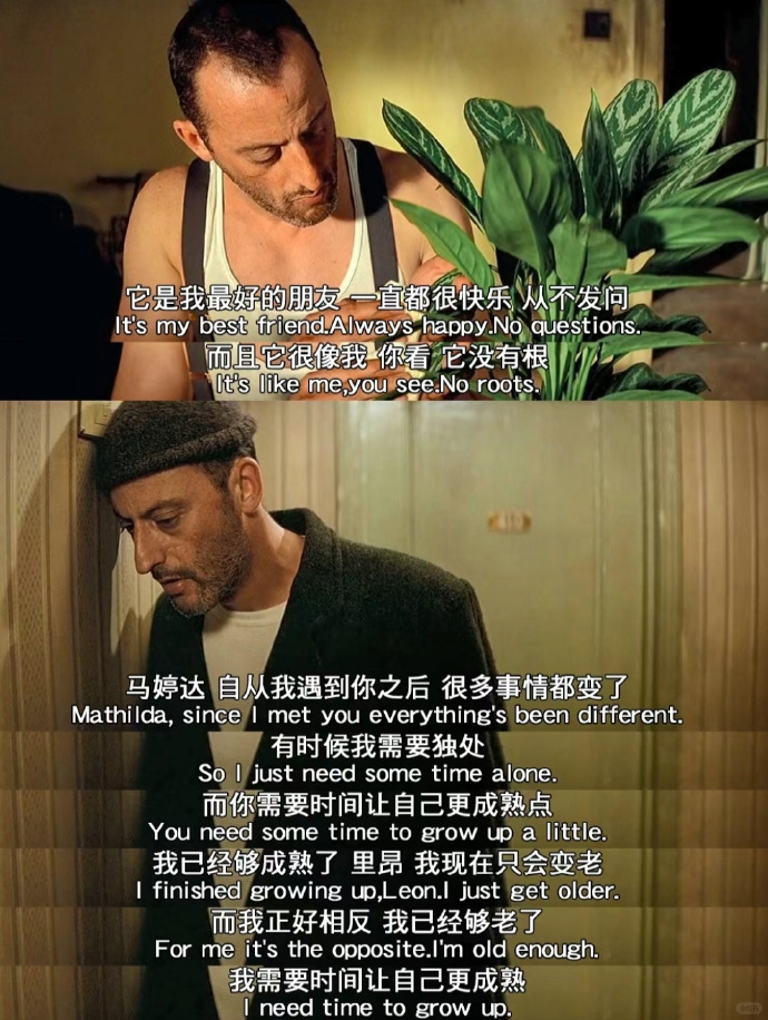 杀手不太冷手机版教学杀手手机版下载安装免费