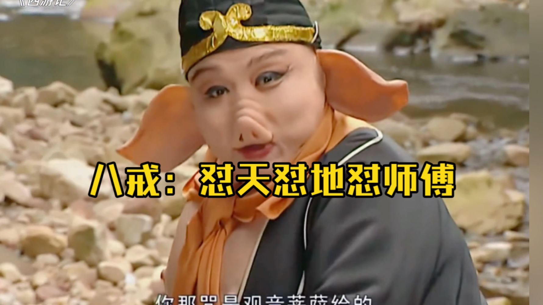 猪八戒聊天客户端猪八戒眼里的无量仙翁-第1张图片-太平洋在线下载