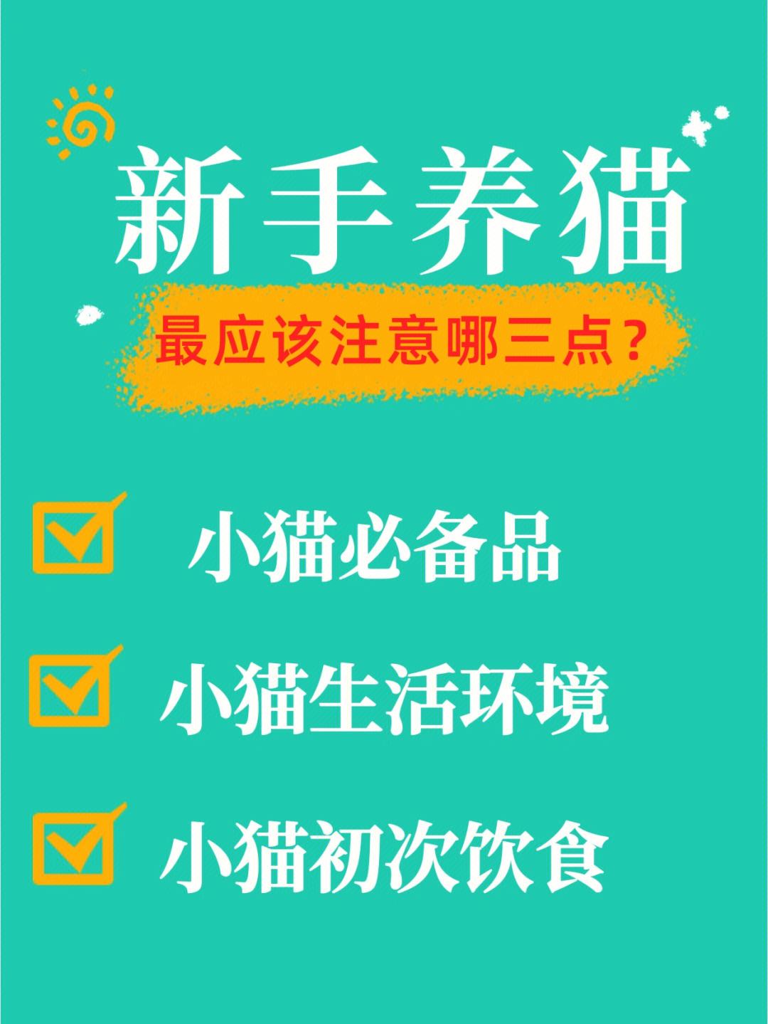 养小猫安卓版liang奶奶的贴心小猫游戏下载中文版-第2张图片-太平洋在线下载