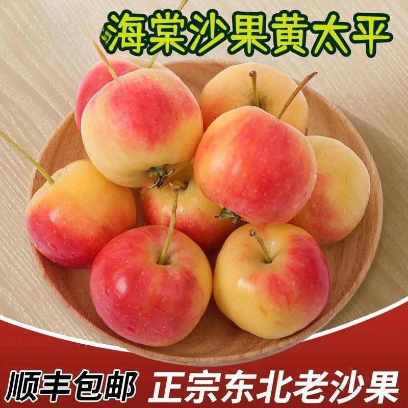 沙俄版小苹果萨克斯小苹果混血版-第1张图片-太平洋在线下载