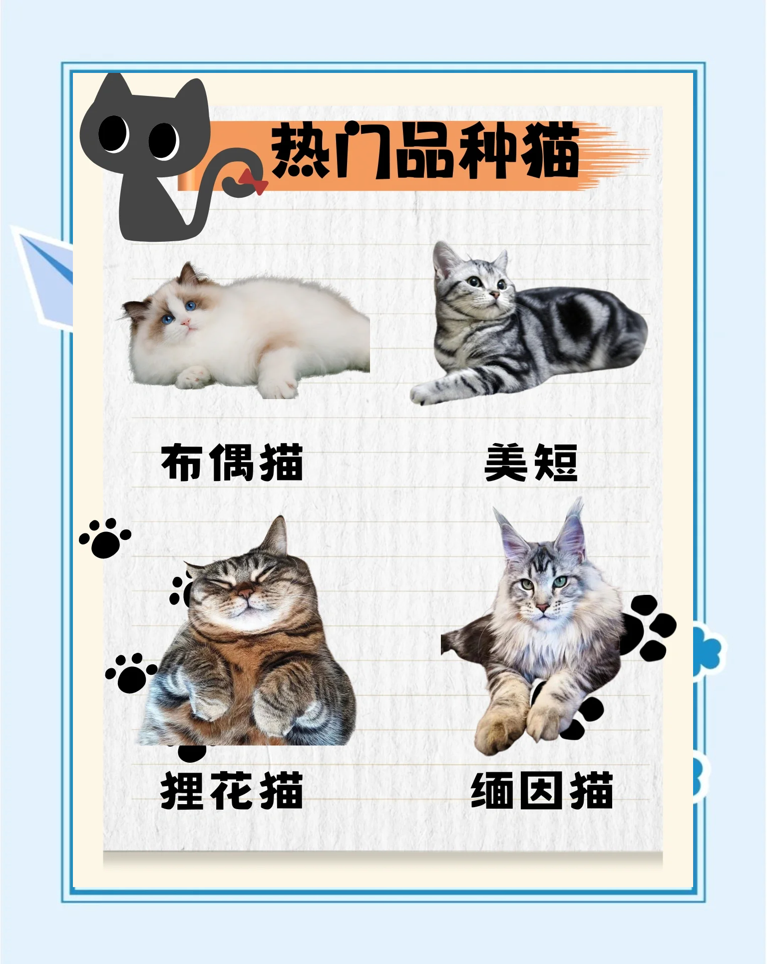 品类猫安卓版品类猫平台靠谱吗