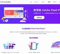 flash手机中文版flashplayer手机版-第1张图片-太平洋在线下载