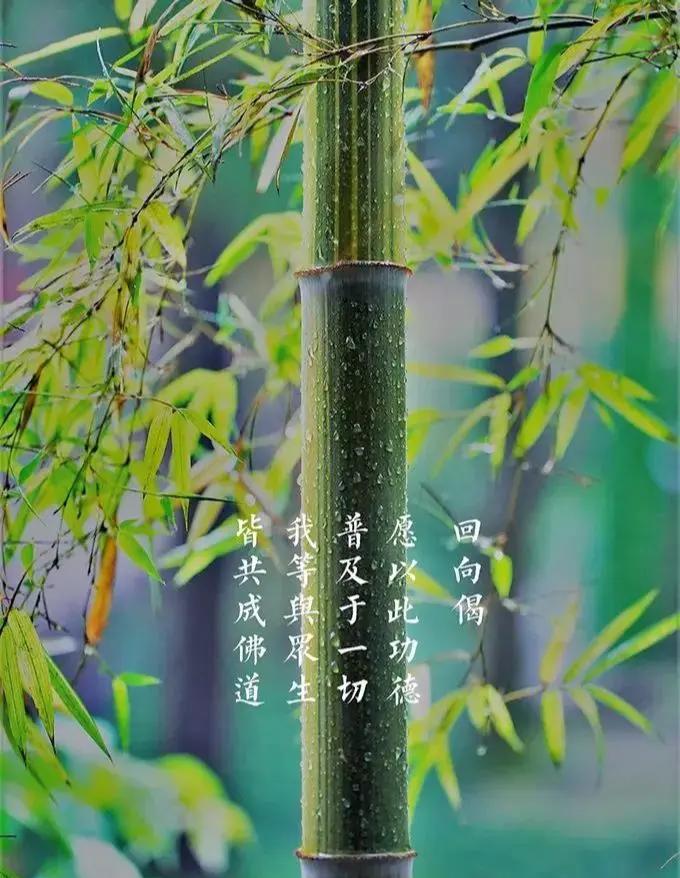 学佛网手机版明华居士学佛网手机版